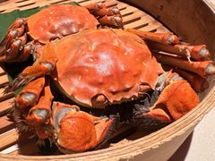 -成隆行·蟹王府(淮海店)