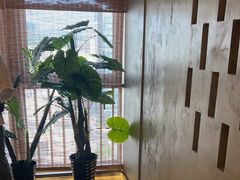 -施奈儿.洗头頭療.按摩SPA.采耳(上梅林店)