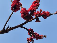 -洛龙公园