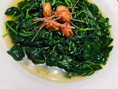 -金悦轩海鲜城(渔人码头店)