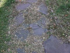 android_upload_pic-辽宁大学(崇山校区)