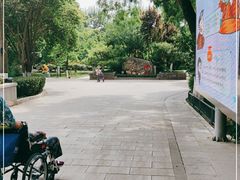 -莲湖公园
