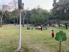 -晓港公园