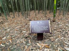 -望江楼公园