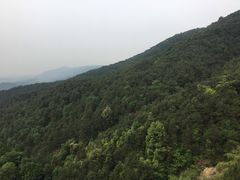 -铁山坪森林公园