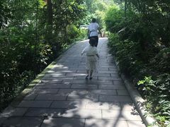 -成都市活水公园