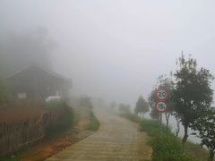 -紫鹊界梯田景区