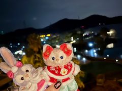 -宁波九龙湖开元度假村
