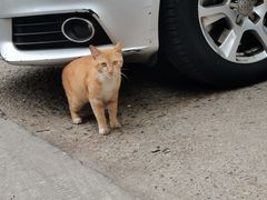 -潮汕壹号·潮汕菜·打边炉·生腌(总店)