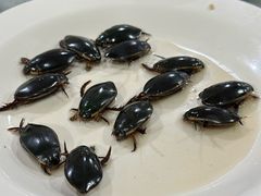 -区海鸡场饭店(石壁店)