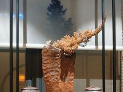 -翁暖茶馆(滨江东总店)