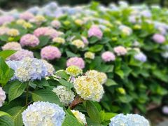 -常州古运河南大街文化旅游区-人民公园