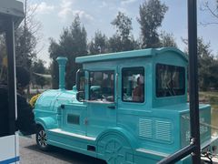 -漩门湾国家湿地公园