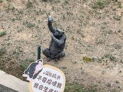 -石家庄市动物园