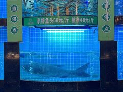 -千岛湖小鱼儿·淳安匠心农家菜