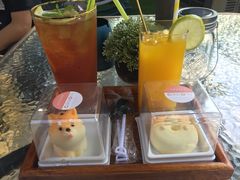 -柴犬高等学院·狗咖·柴犬售卖·宠物训练