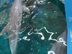 -厦门海底世界
