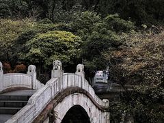 -黔灵山公园