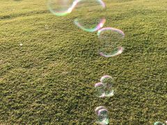 -吴淞炮台湾湿地森林公园烧烤区