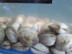 -蓝珊甄选海鲜自助·火锅大排档(近阿那亚店)