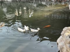 -豫园