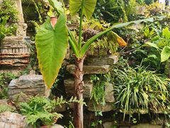 -国家植物园南园