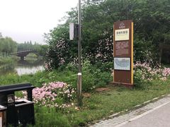 -南湖湿地公园