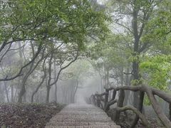 -梧桐山风景名胜区