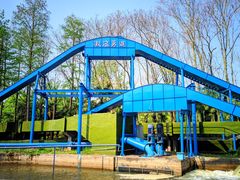 -上海共青森林公园