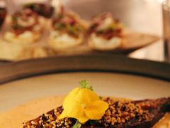 -Hi City·城市之巅