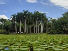 -中国科学院西双版纳热带植物园