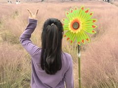 -汉长安城未央宫国家考古遗址公园