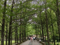-五泄景区