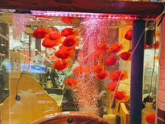 -东北人家铁锅炖(鞍山路店)