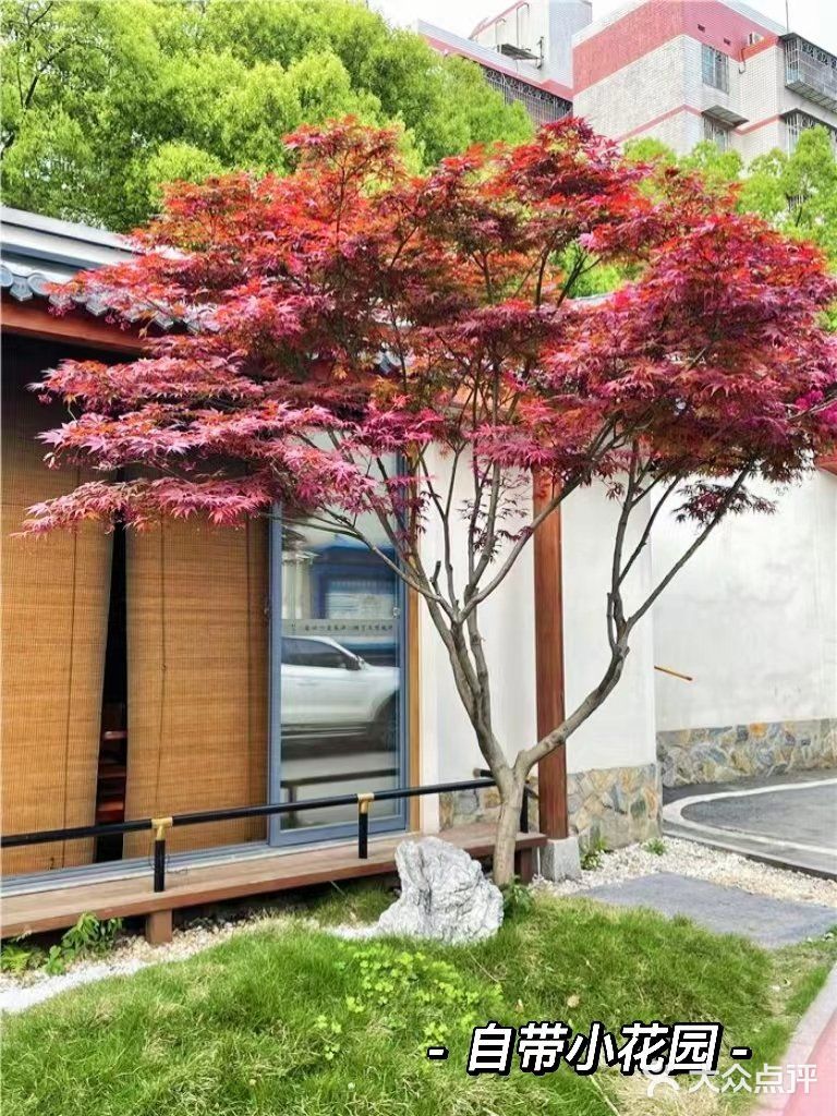 网红打卡|雅致庭院餐厅