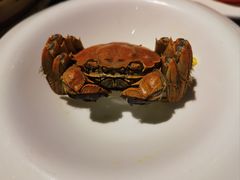-蟹榭·本帮江浙菜·蟹宴(五角场合生汇商场店)