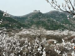 -居庸关长城