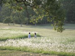 -福建鲤鱼洲酒店