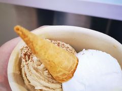 -极拉图·现制冰淇淋(大卫城店)