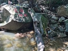 -洛阳花果山景区