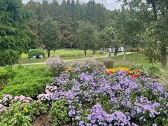 -上海辰山植物园