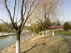 -白塘生态植物园