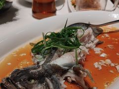 -高佳庄·海鲜酒楼(临城百合店)