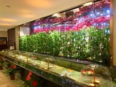 -东方山水金沙酒店-雅香阁中餐厅