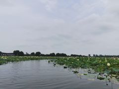 -焦岗湖旅游度假区