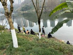 -重庆彩云湖湿地公园