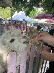 -萌宠亲子动物乐园(槐房万达店)