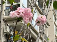 -领晟体育蓝天花园室内游泳馆
