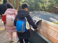 -马王堆汉墓遗址