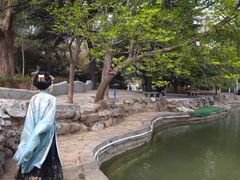 -西苑公园